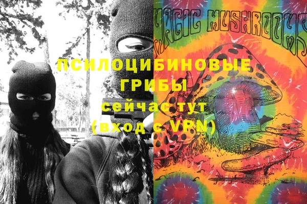 амф Бронницы
