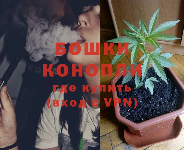 спиды Богородицк