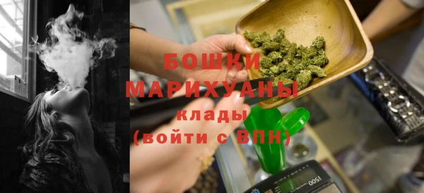 амф Бронницы