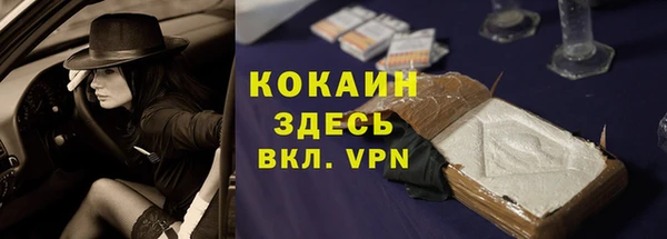 мдпв Богданович