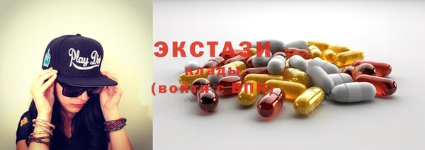 спиды Богородицк