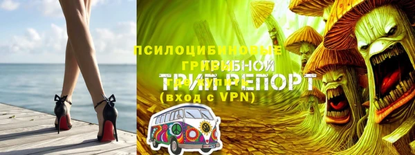 спиды Богородицк