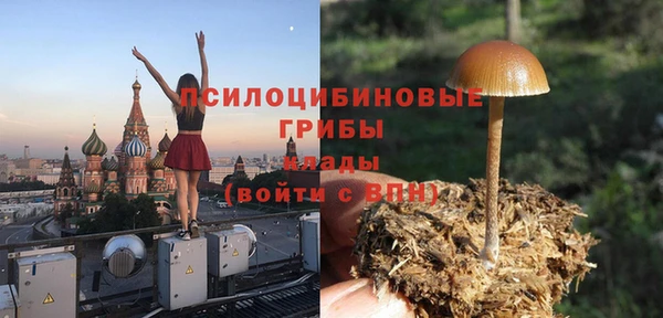 мдпв Богданович
