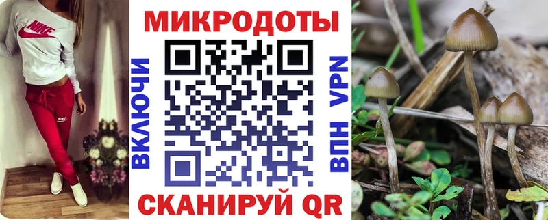 shop Telegram  Можга  Псилоцибиновые грибы мухоморы 