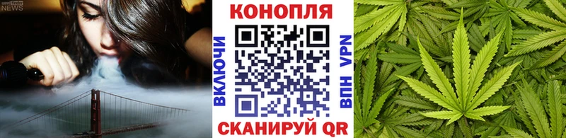 как найти закладки  Можга  Бошки марихуана сатива 
